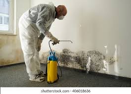 Trusted Lorain, OH Mold Removal & Remediation Experts